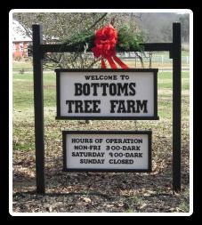 Bottoms Christmas Tree Farm in Cumming GA