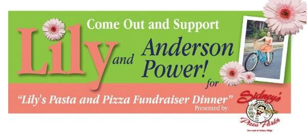 Lily Anderson Fundraising - Cumming GA Forsyth County Lily Anderson Fundraising - Cumming GA Forsyth County