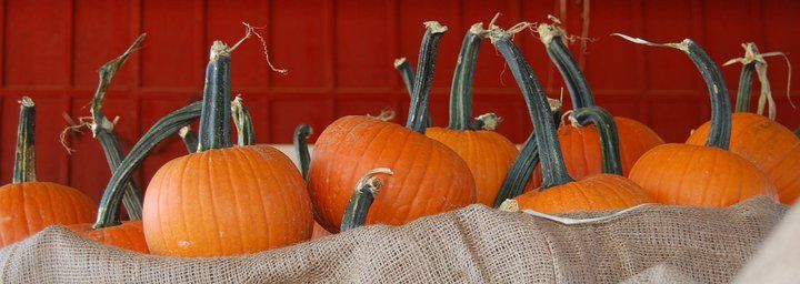 Weekend Activities in Cumming GA: 9/30 – 10/2