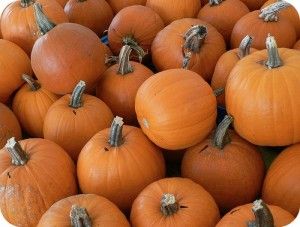 pumpkins | Fall Fun in Cummings GA