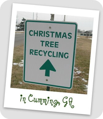 Where to Recycle Your Christmas Trees in Cumming GA