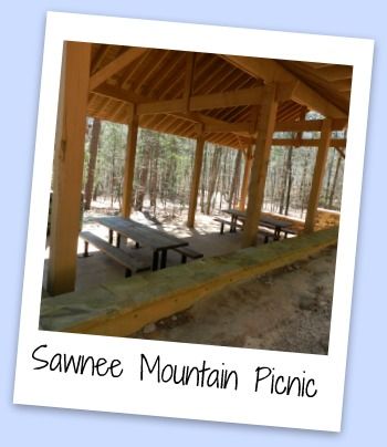 sawnee_picnic1.jpg