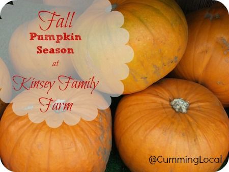 fall at Kinsey Family Farm