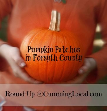 Places to buy pumpkins in Cumming, GA & Forsyth County