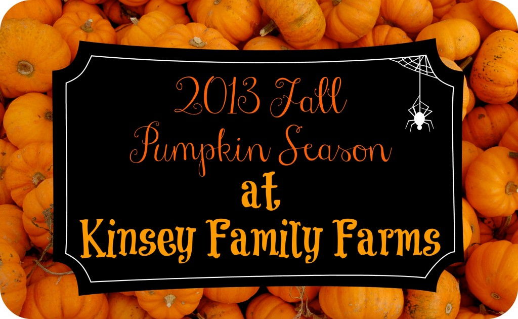 2013 Kinsey Family Farm Pumpkins