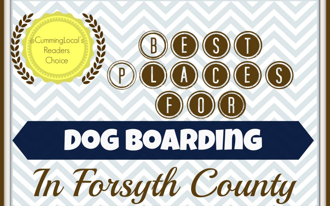 Best Places for Dog Boarding in Forsyth County