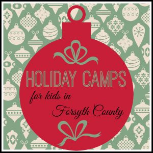 HolidayCampsInForsythCo