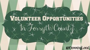 VolunteerOpportunities