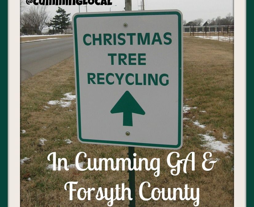Recycle your Christmas Tree in Forsyth County 2013