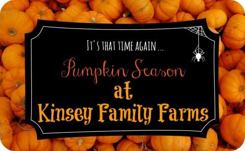 Kinsey Family Farm: 2016 Fall Pumpkin Season