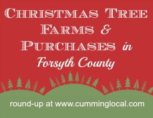 Christmas Trees in Forsyth County