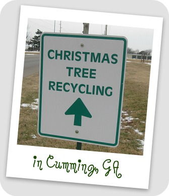 Christmas Tree Recycle in Forsyth County 2014