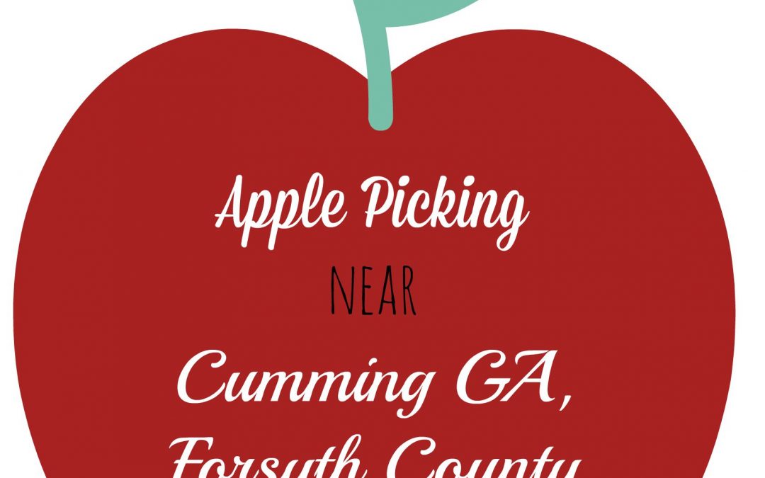 2015 Apple Picking Near Cumming GA