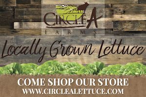 Locally Grown Lettuce at Circle A Farms