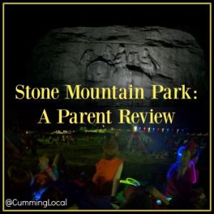 StoneMtnPark2