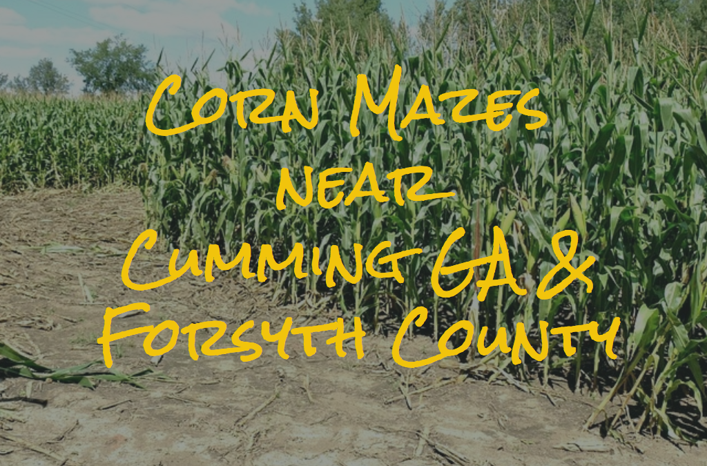 Corn Mazes Near Cumming GA {2018}