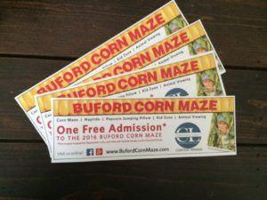 Buford Corn Maze