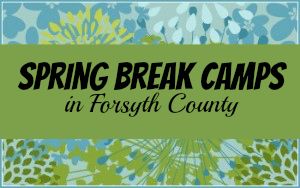 Spring Break Camps 2017