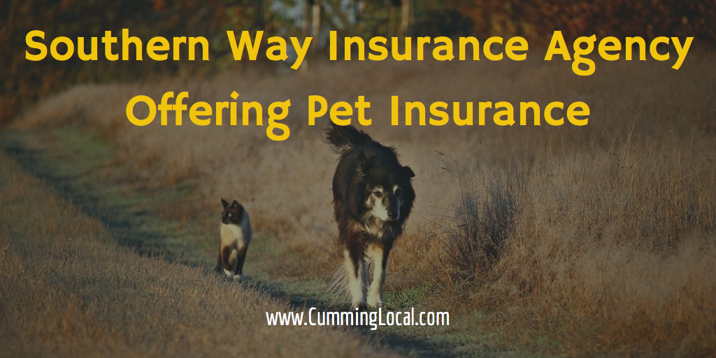 Pet Insurance