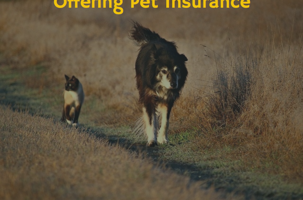 Southern Way Insurance Agency Offering Pet Insurance