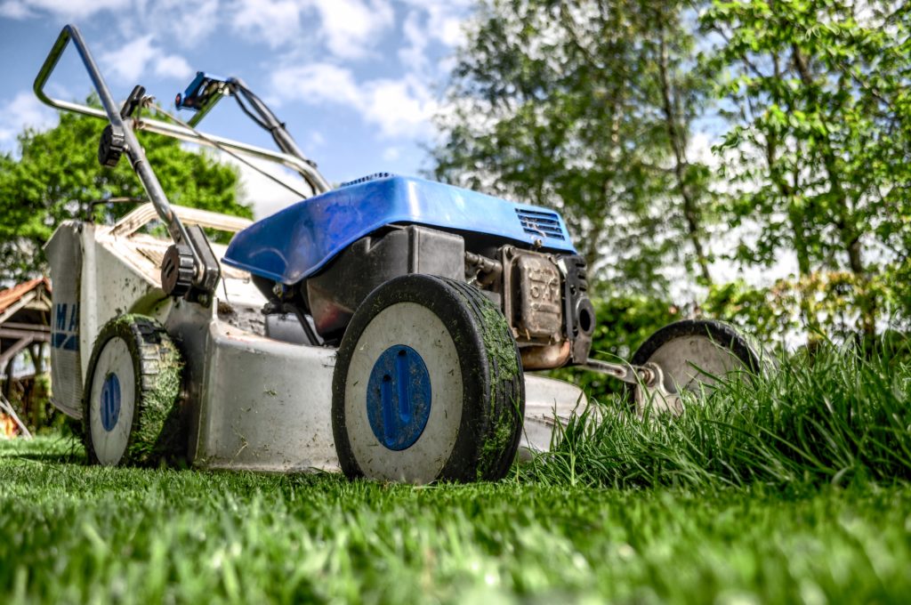 Lawn Care Myths