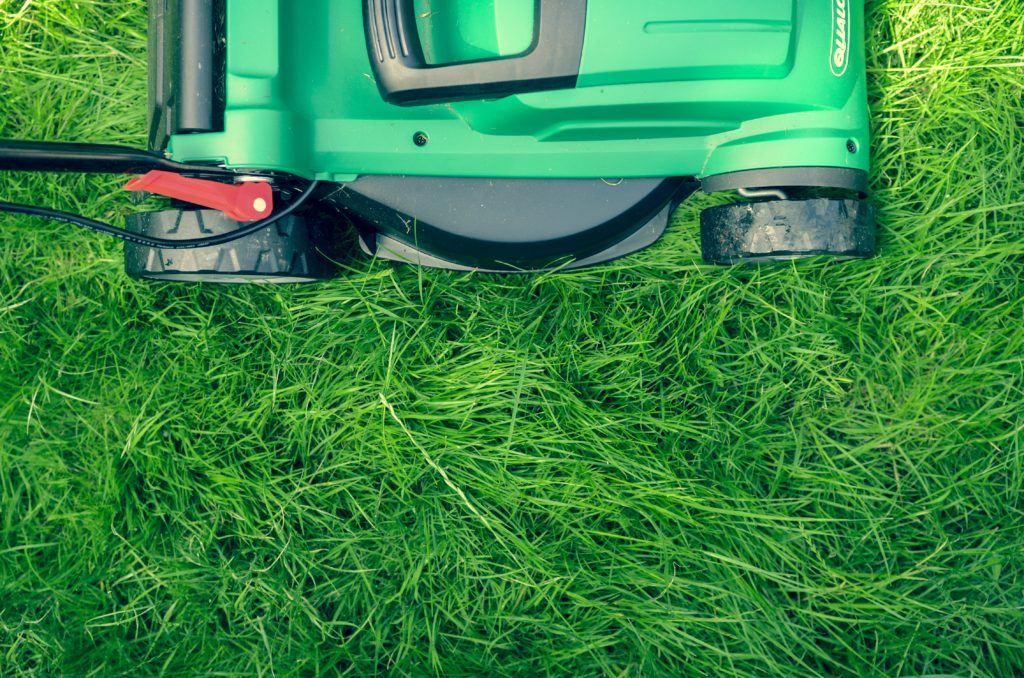 Lawn Care Myths