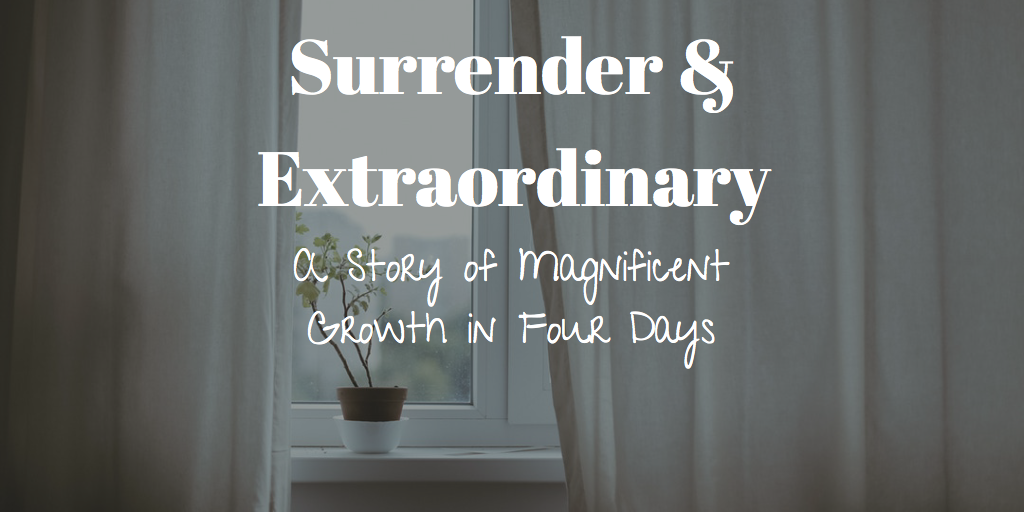 Surrender & Extraordinary: A Story of Magnificent Growth in Four Days