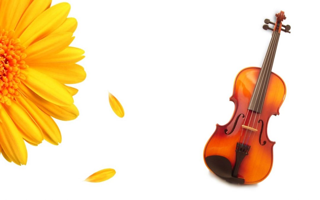 Spring Into Music with the Forsyth Youth Orchestra