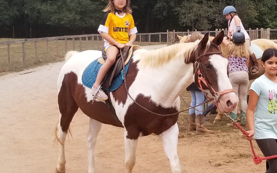 Horse Camps at WildeWood Farm This Summer 2020