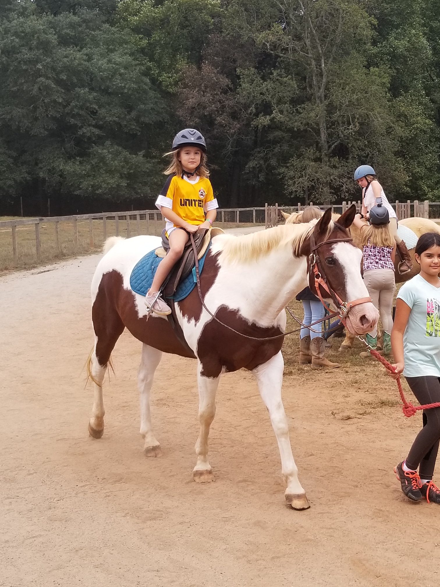 Horse Camps at WildeWood Farm this Summer 2020