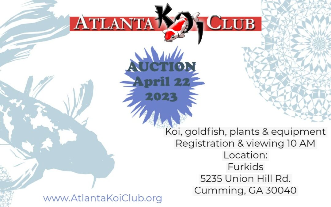 2023 Annual Atlanta Koi Club Auction